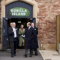 Earl opens new gorilla house article image
