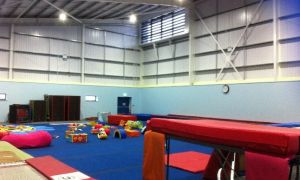 Wiltshire School of Gymnastics